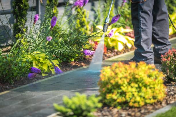 Best Post-Construction Pressure Washing  in Orofino, ID